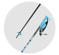 ライン(LINE)スキーストック