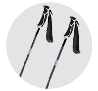 スウィックス（SWIX）スキーストック