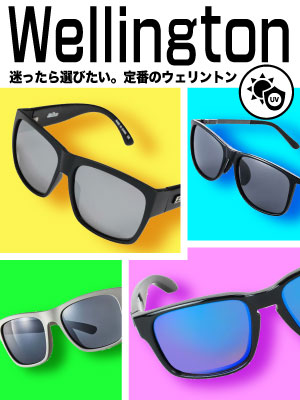 定番なウェリントン型サングラス