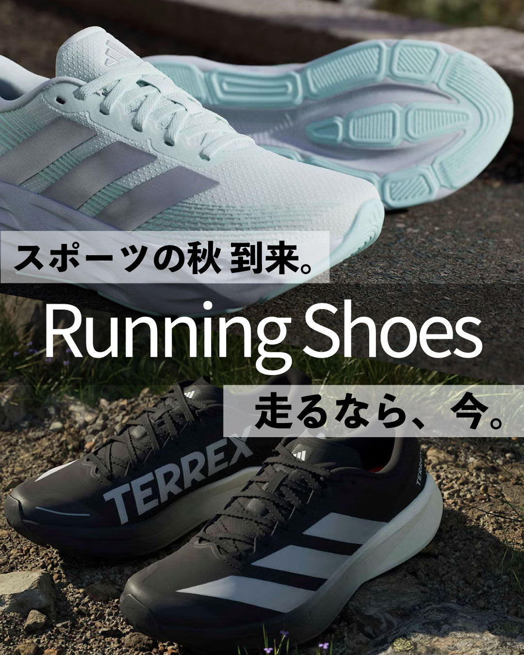 ランニングシューズ　スポーツの秋　到来