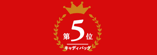 キャディバッグ部門 第5位