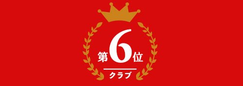 ゴルフクラブ部門 第6位