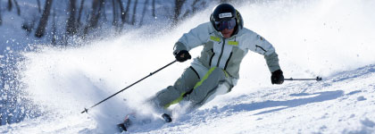 スキー　DEMOモデル