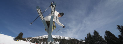 スキー　フリースタイルスキーモデル