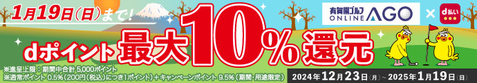 お正月の新春初売りセール 2025開催中はd払いがお得！d払いをご利用でdポイント最大10％還元！さらに有賀園ポイントもサービス　1/19（日）まで！