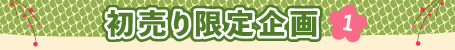 初売り限定企画1