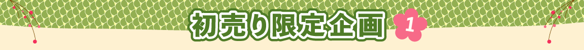 初売り限定企画1