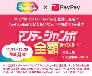 マイナポイント登録者限定！マンデージャンボSP