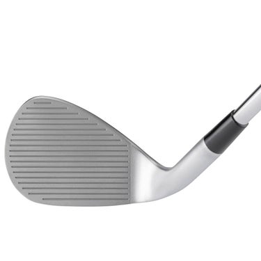 キャスコ　ドルフィン メンズ ウェッジ セミグースネック ハイスピン DW-125G High Spin　N.S.PRO 950GH neo スチールシャフト　2026年モデル フェース 斜め・トップビュー