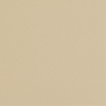 ニッタク Nittaku　ジェネクション V2C 裏ソフト卓球ラバー NR-8787 レッド（20） ラバー表面や粒形状のディテールを確認できる画像
