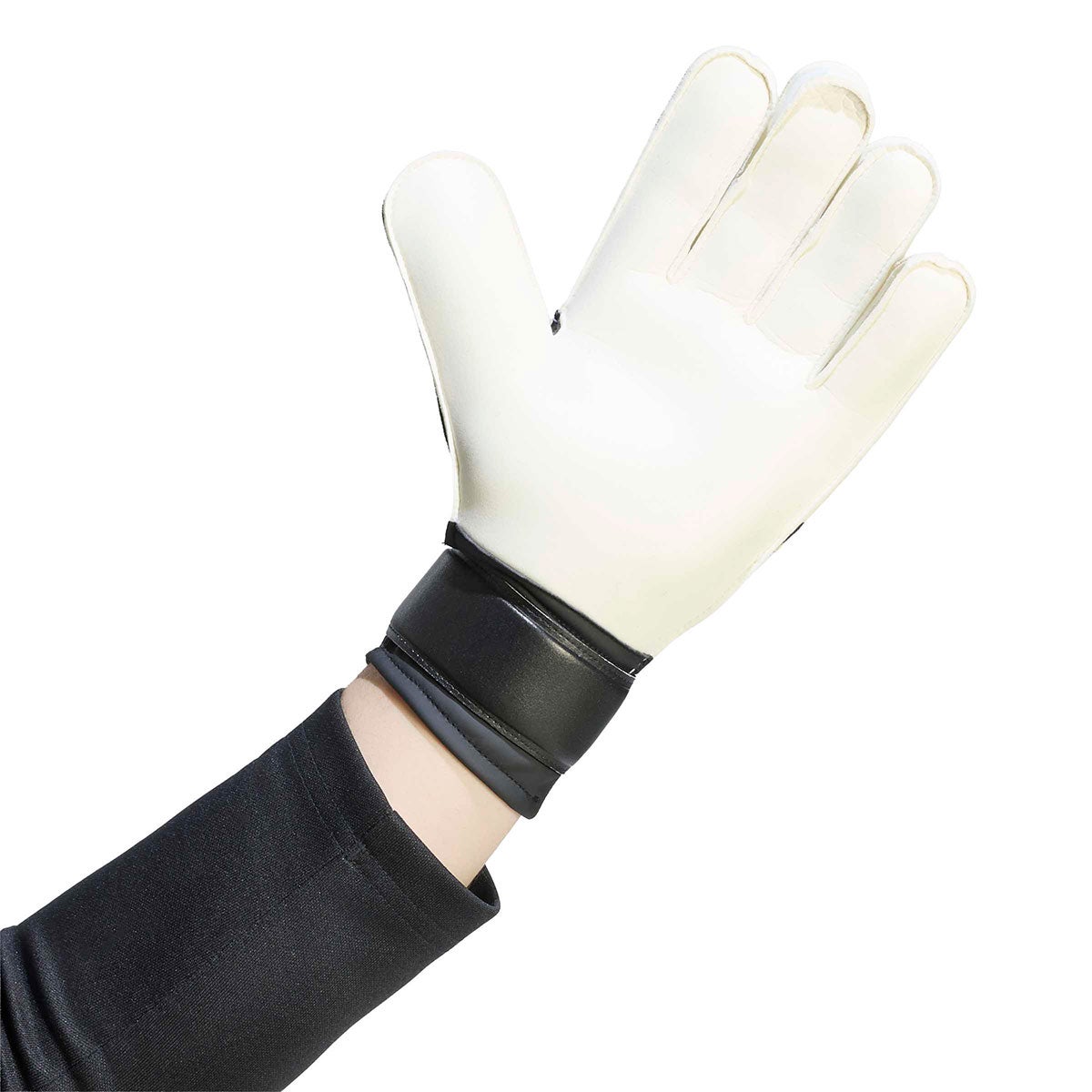 アディダス adidas　 プレデタートレーニングゴールキーパーグローブ / Predator Training Goalkeeper Glove TA496 2026年モデル 詳細3