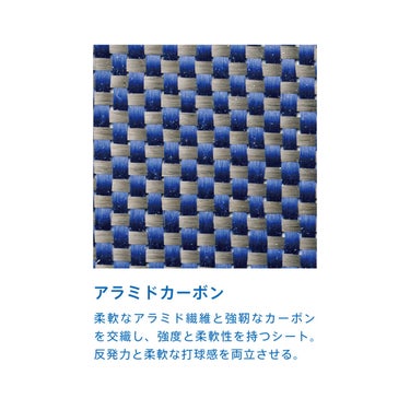 ヴィクタス VICTAS 卓球ラケット KOKI NIWA CHN ペンラケット 27803 ブルー 詳細3
