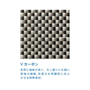 ヴィクタス VICTAS 卓球ラケット QUARTET VFC CHN ペンラケット 28403 ブルー 詳細3