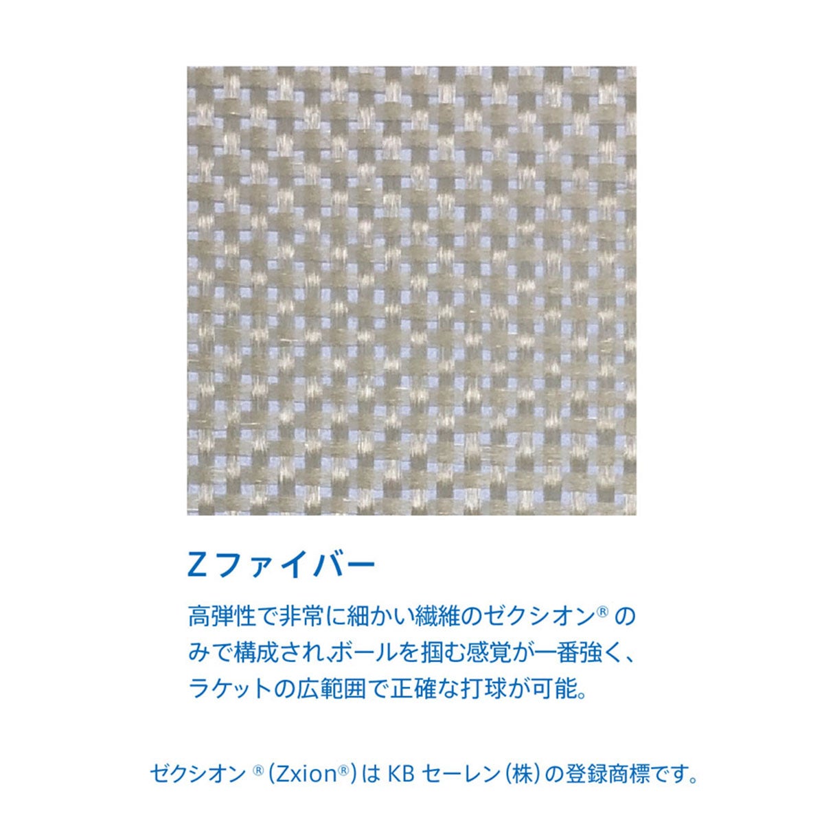 ヴィクタス VICTAS 卓球ラケット ZX-GEAR FIBER シェークラケット 29004 29005 ブルー 詳細4