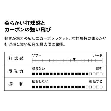ヴィクタス VICTAS 卓球ラケット スピン エース-カーボン【SPIN ACE-CARBON ペンラケット 300022 ブラック 詳細3
