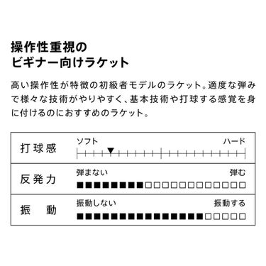 ヴィクタス VICTAS 卓球ラケット V-ウッド V-WOOD FL シェークラケット 310244 ブルー 詳細3