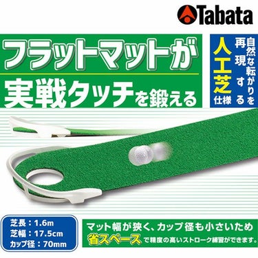 タバタ　フラットパターマット1.6　GV-0139