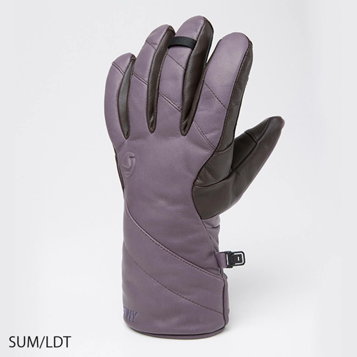 スワニー SWANY Alaska アラスカ SUM/LDT スキーグローブ 2024-2025 SX204