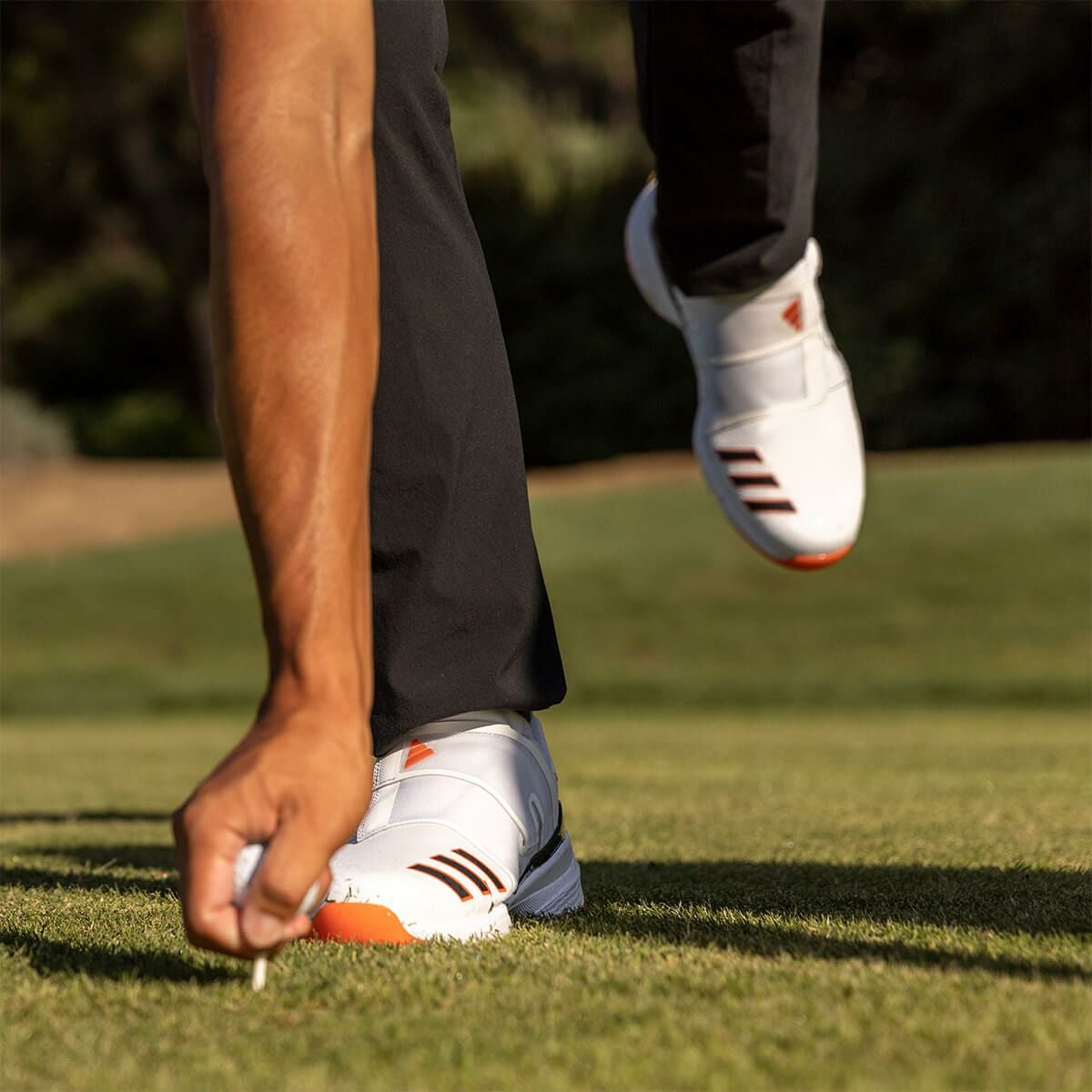 アディダス adidas　ZG23 BOA ゼッドジー23 ボア　メンズ ゴルフシューズ LIH91 GY9716 詳細3