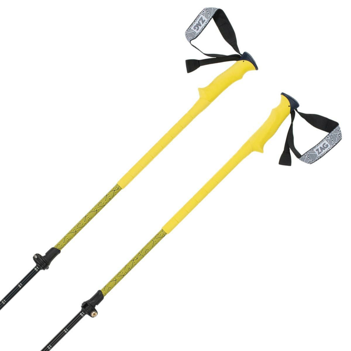 ザグ ZAG Noth pole ノースポール オレンジ Orange スキーストック