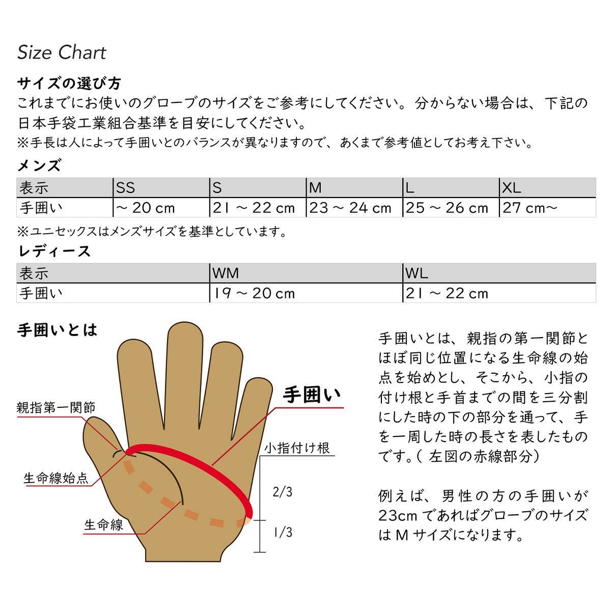 松岡手袋　Sports Ride スポーツライド ESK-2131 CORK　スキーグローブ 2023-2024 詳細3
