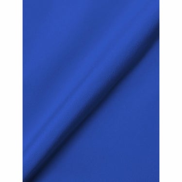 ゴールドウイン GOLDWIN　スキーウェア ツートンカラー ワイド パンツ 2-tone Color Wide Pants G33355A 2024-2025 LAPIS LAZULI 詳細5