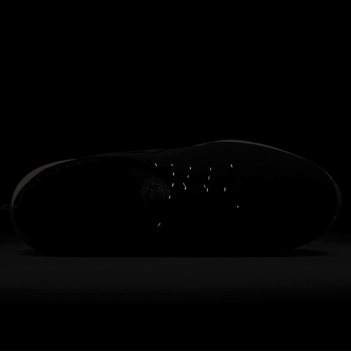 ナイキ NIKE　エア ズーム ビクトリー ツアー 3 NRG　メンズ ゴルフシューズ FQ8307 300　2024年モデル 詳細6