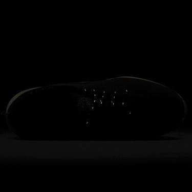 ナイキ NIKE　エア ズーム ビクトリー ツアー 3 NRG　メンズ ゴルフシューズ FQ8307 300　2024年モデル 詳細6