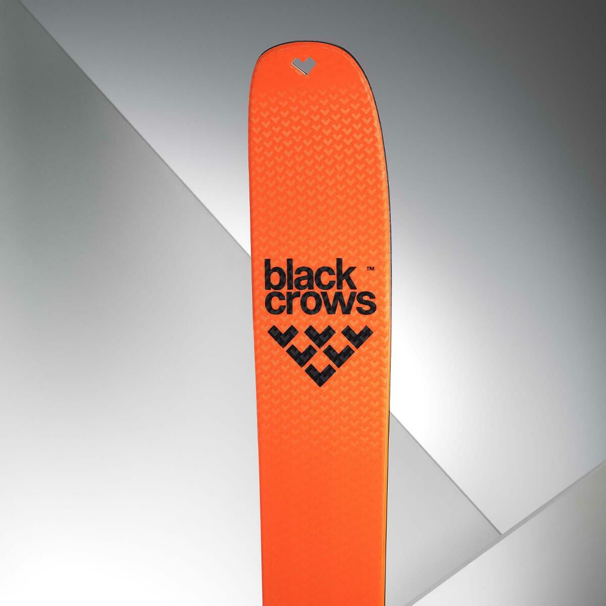 ブラッククロウズ BLACKCROWS DRACO FREEBIRD ドラコ フリーバード