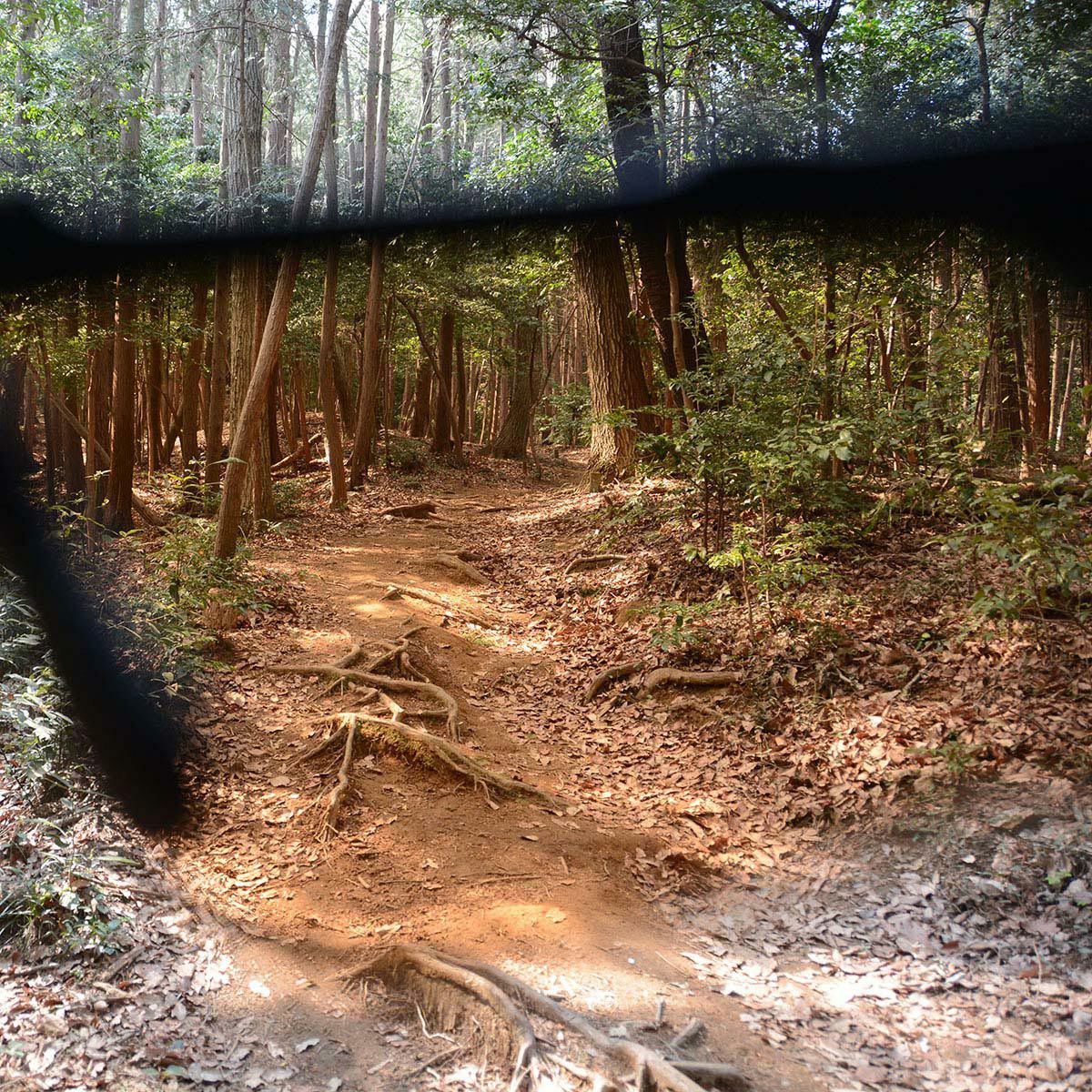 ESS Crossblade NARO Cerakote サングラス EE9034-109 Olive Drab/Hi-Def Bronze 詳細1