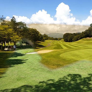 ESS Crossblade NARO Cerakote サングラス 上田瑠偉 シグネチャーモデル EE9034-2UY Sky Blue/Hi-Def Bronze 詳細1