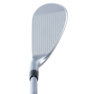 キャスコ　ドルフィン ウェッジ DW-120G　Dolphin DP-201 カーボンシャフト 詳細2