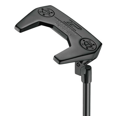 テーラーメイド　TPコレクション ブラック バンドン TM1 パター 詳細5