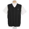 セントアンドリュース St ANDREWS　メンズ Vネック ニットベスト 042-5173251　2025年モデル 詳細2