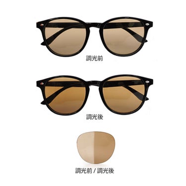 フローン Fullon　サングラス 調光 FGL 005-1 マットブラック/ブラウン 詳細3