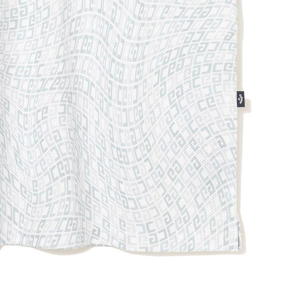 キャロウェイ Callaway　メンズ かざあなメッシュ ロゴプリント 半袖 ポロシャツ C25134120　2025年モデル 詳細5