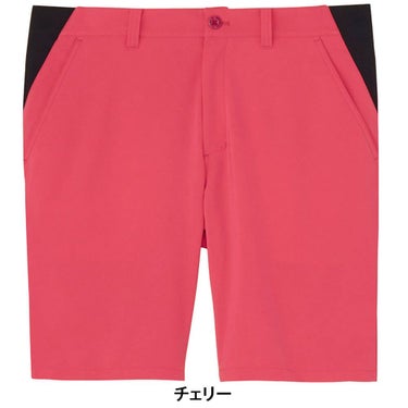 アンパスィ and per se　メンズ スイングドライWクロス ハーフパンツ AMS5515E4　2025年モデル 詳細11