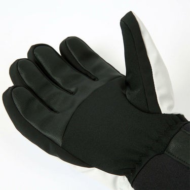 エビス eb's　OLGA 5 オルガ5 ICE　GORE-TEX ゴアテックス スキーグローブ 2025-2026 詳細5