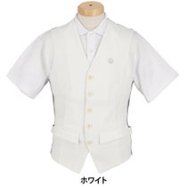 セントアンドリュース St ANDREWS　メンズ ラメジャガード ジレ 042-1258901