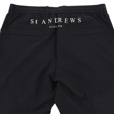 セントアンドリュース St ANDREWS　メンズ レインパンツ 042-9989601  詳細10