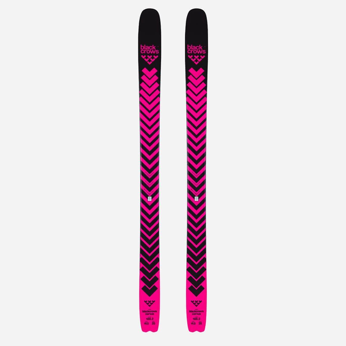 ブラッククロウズ BLACKCROWS　CORVUS コーブス　スキー板 単品 2025-2026 詳細2