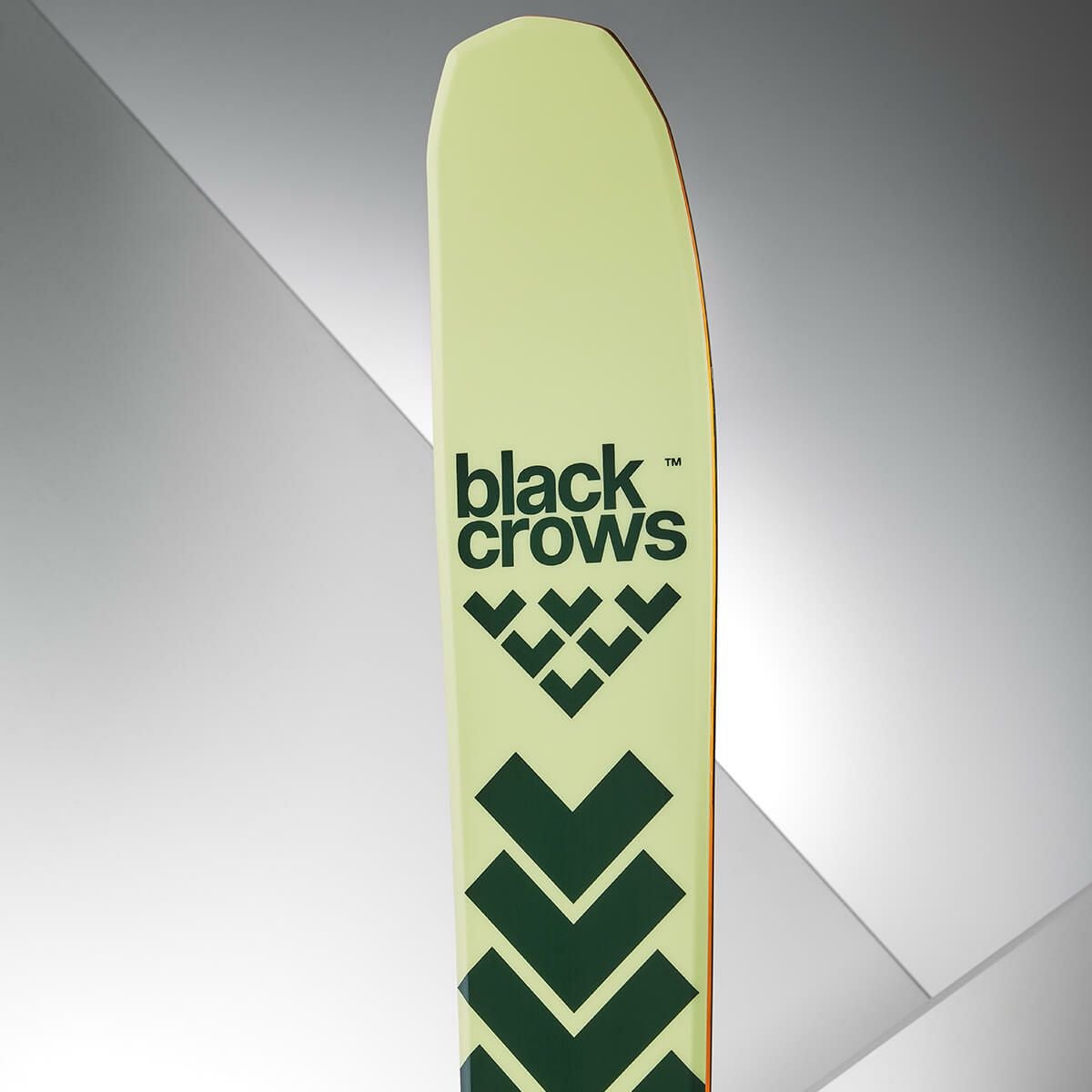 black crows anima アニマ 176 BDシール キングピン13 ブラッククロウズ BLACKCROWS ANIMA アニマ スキー板 単品 2025-2026
