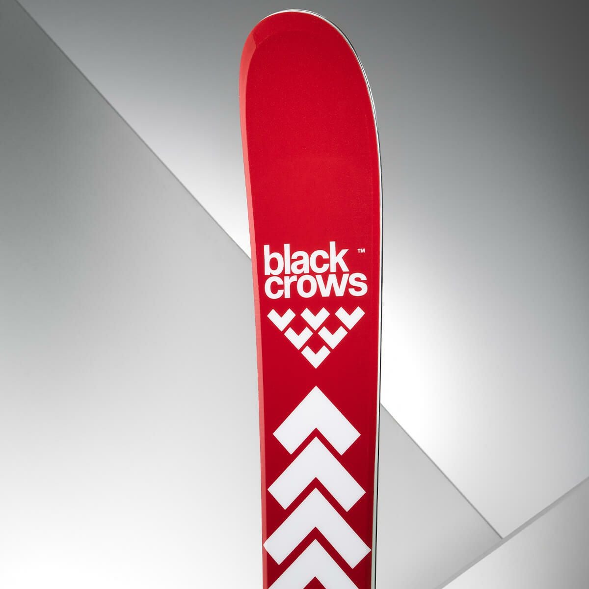 ブラッククロウズ BLACKCROWS CAMOX カモックス スキー板 単品 2025