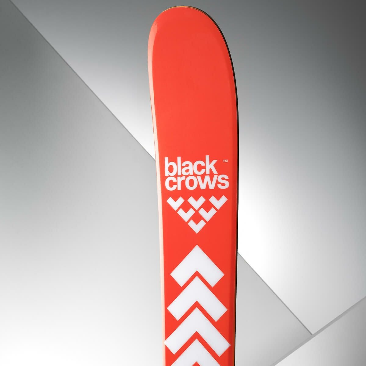 ブラッククロウズ BLACKCROWS CAMOX BIRDIE カモックス バーディー