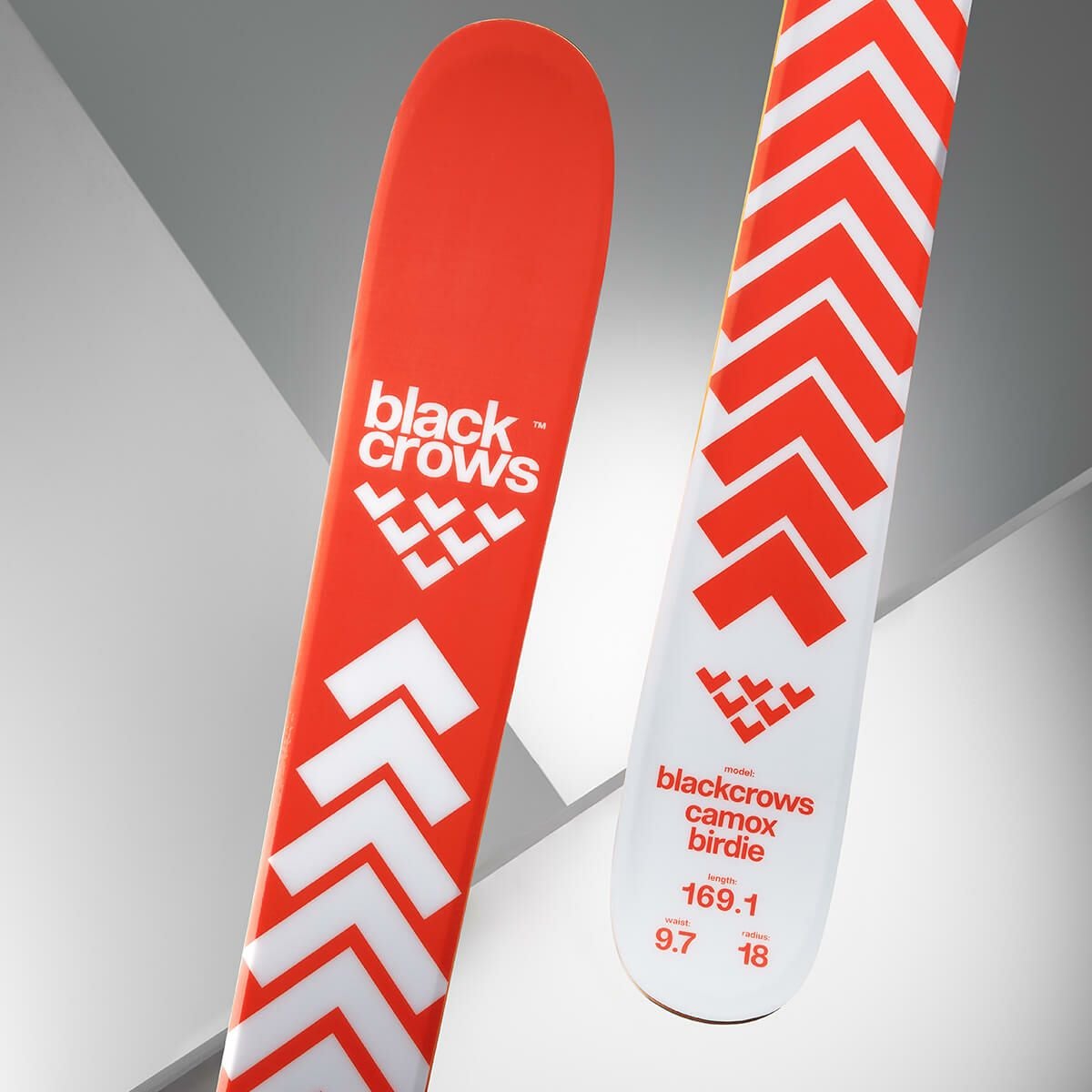 ブラッククロウズ BLACKCROWS　CAMOX BIRDIE カモックス バーディー　スキー板 単品 2025-2026 詳細8