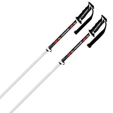 シナノ SINANO　フリーX AL フリーエックス AL BK　スキーストック 2025-2026 詳細2