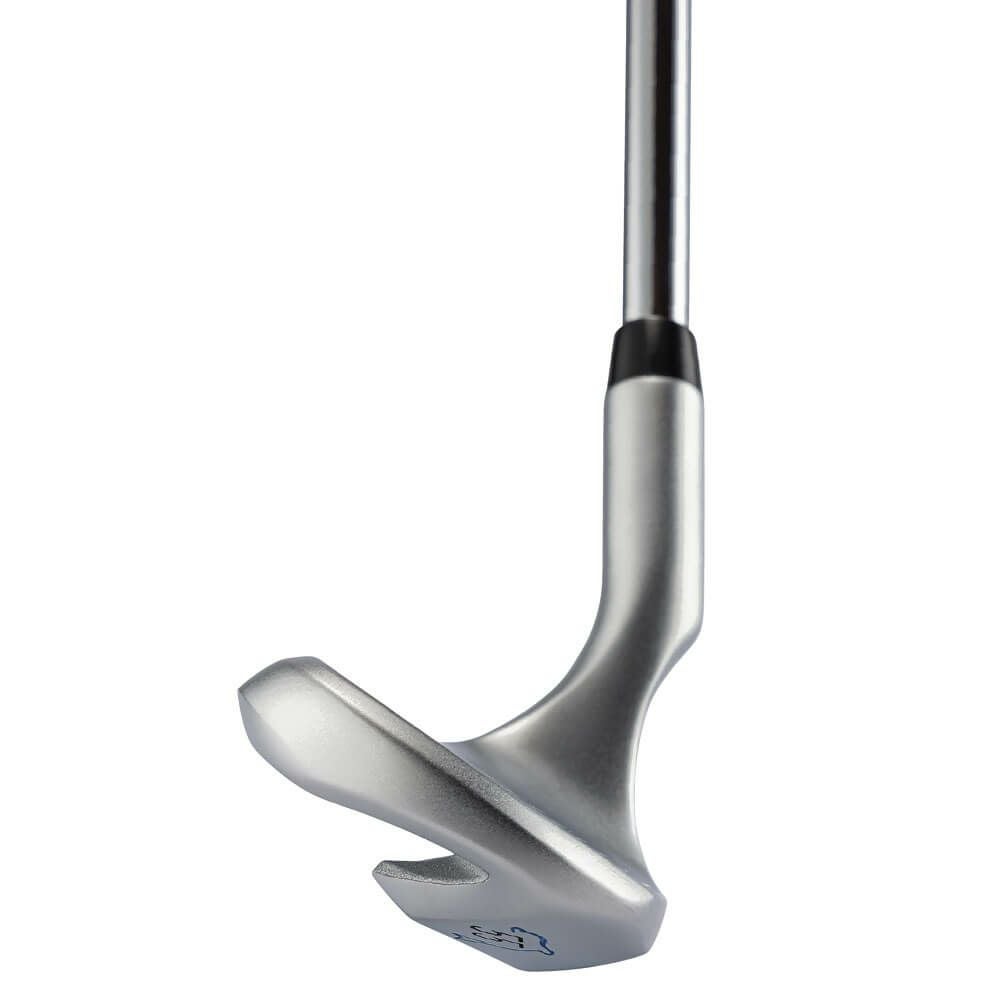 キャスコ　レディース ドルフィン フライング ウェッジ DFW-225　DP-251 カーボンシャフト 詳細3