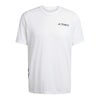 アディダス adidas　アウトドア テレックス TERREX Xperior エクスペリアー クライマクール 半袖Tシャツ ホワイト JN8134 詳細2