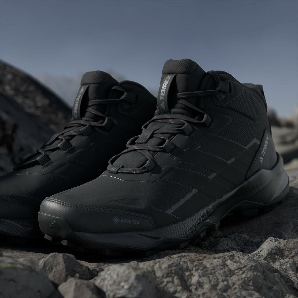 TERREX GORE・TEX 25.0 トレイルランニング 登山靴 ランニングシューズ 