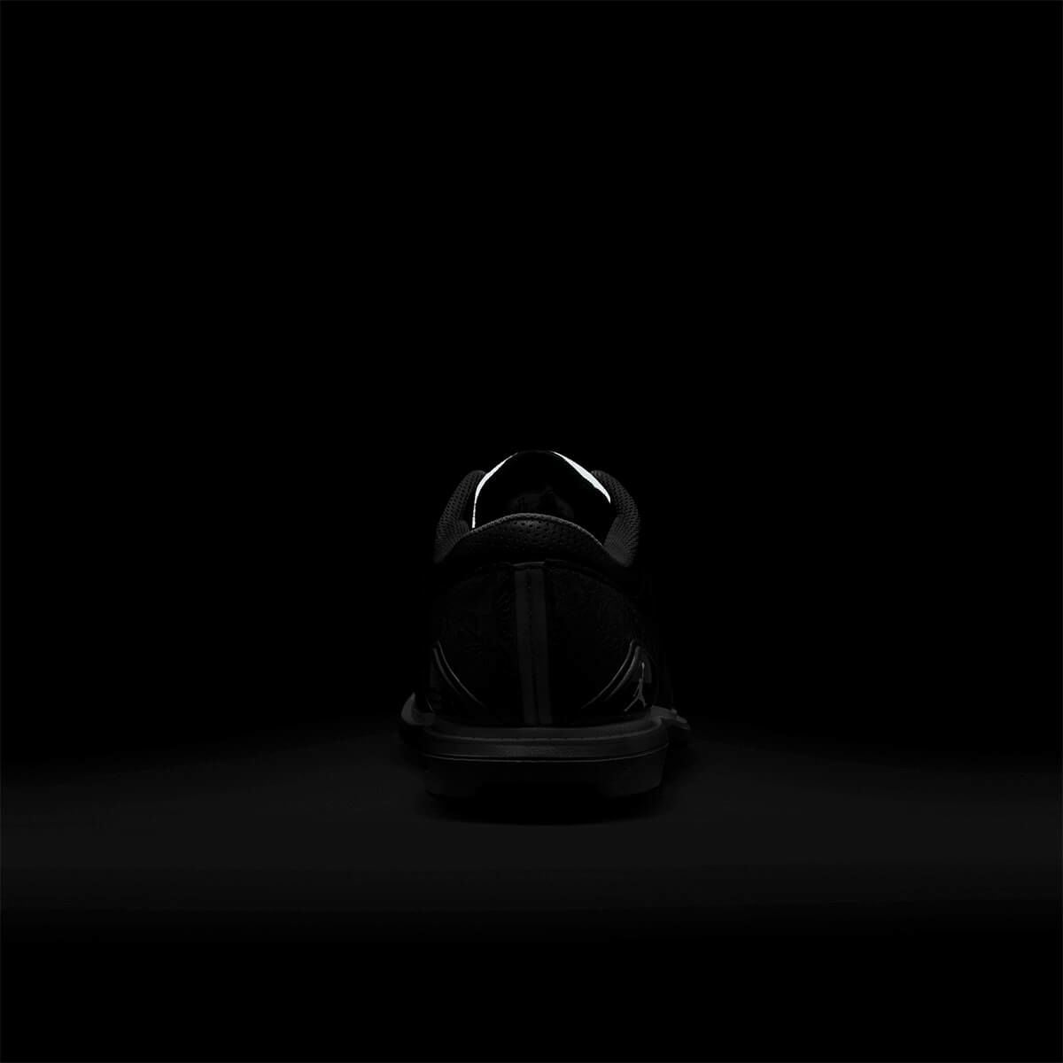 ナイキ エアジョーダン ADG5 シューズ FQ6642 003 詳細9